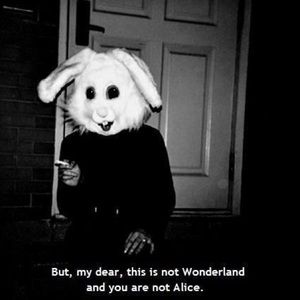 Meet your Posher, Gabriel a